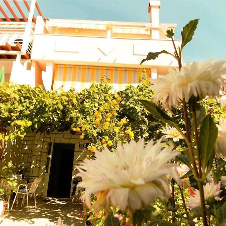 Guesthouse Jenny (Adults Only) Novalja Zewnętrze zdjęcie