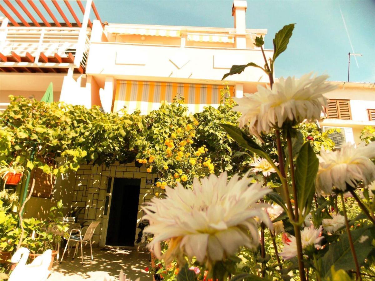 Guesthouse Jenny (Adults Only) Novalja Zewnętrze zdjęcie